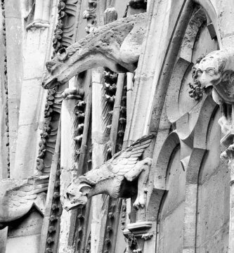cuantas gargolas tiene notre dame