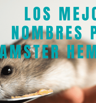 Nombres para hamster hembre