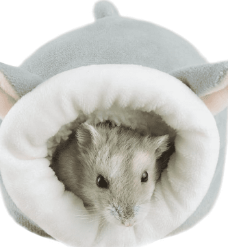 camas para hamster