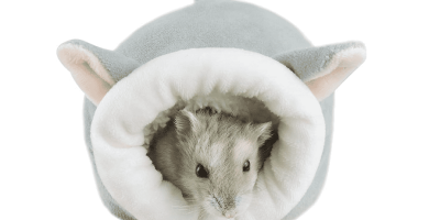 camas para hamster