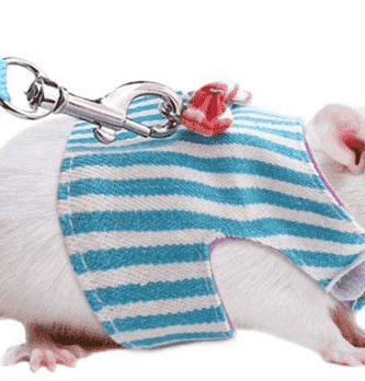 CORREAS Y ARNES PARA HAMSTER