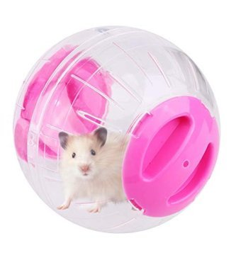 consejos para estimular a su hamster